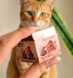 ست رژگونه و سایه ( هایلایتر ) ۳ طبقه - تصویر 3